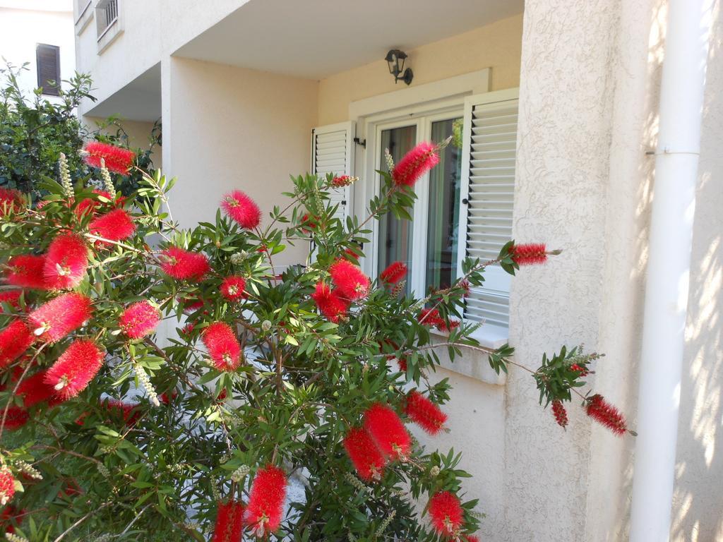 Apartments Maris Petrovac Quarto foto